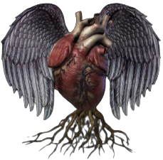 382334149_1469746110426869_3079917161849359855_n-removebg-preview